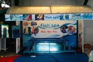 SL-Fish spa image