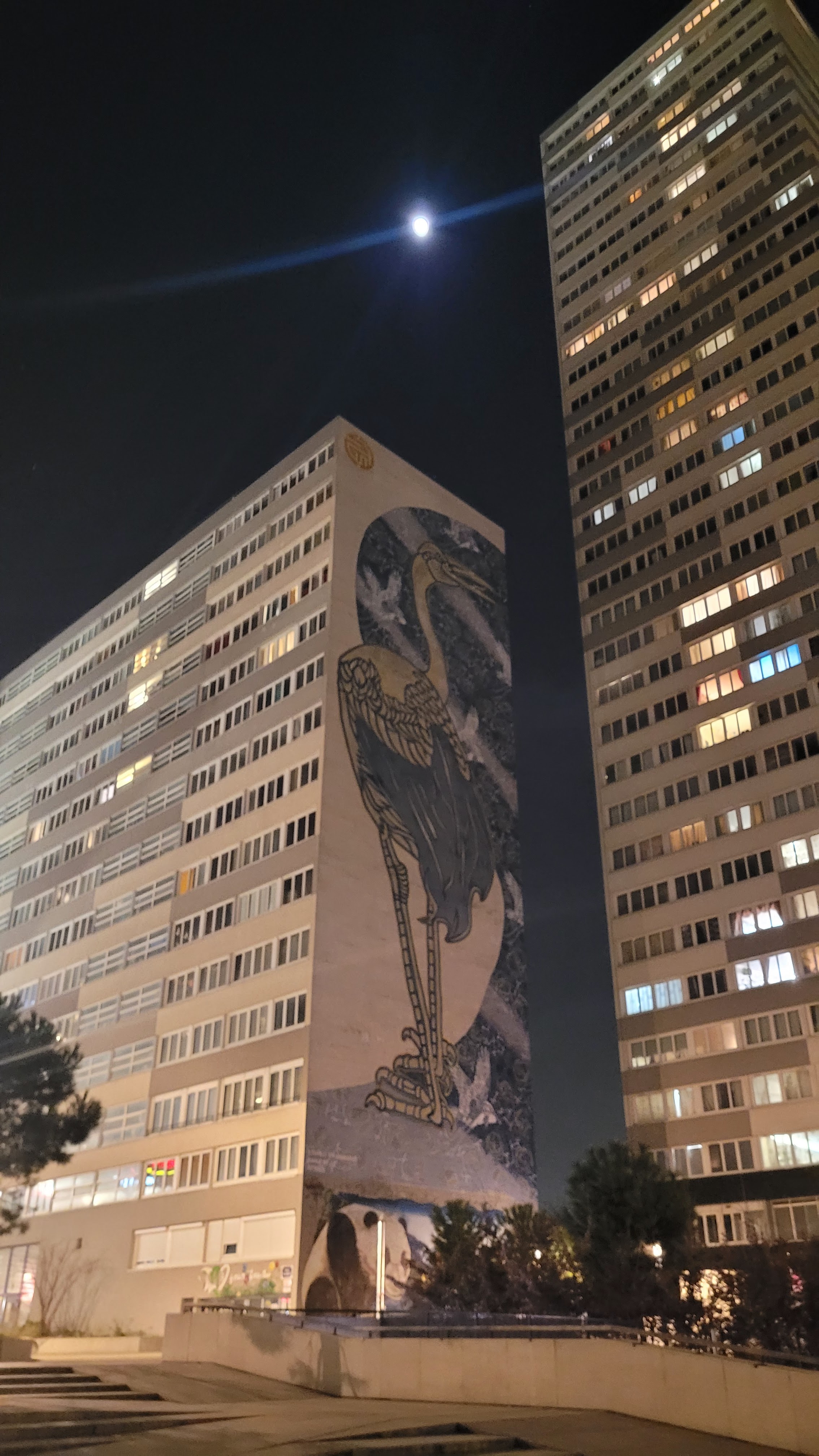 Photo n° 1 de l'avis de Sefali. fait le 16/01/2022 à 22:55