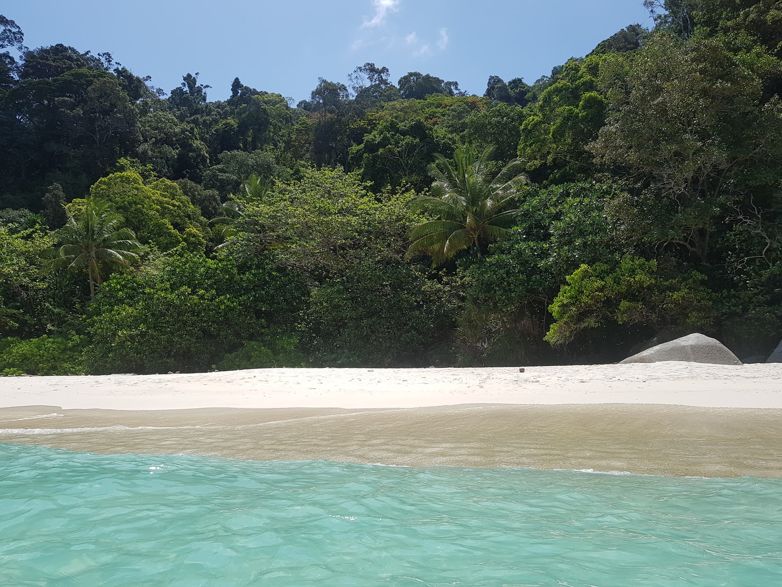 Turtle Beach photo #6
