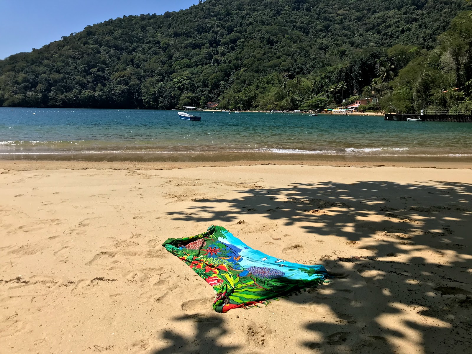 Praia do Sobrado'in fotoğrafı vahşi alan