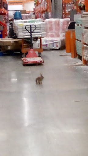 Home Improvement Store «The Home Depot», reviews and photos, 252 N Custer Rd, McKinney, TX 75071, USA