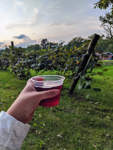 Winery «School House Winery», reviews and photos, 455 Schneiders Crossing Road Northwest, Dover, OH 44622, USA