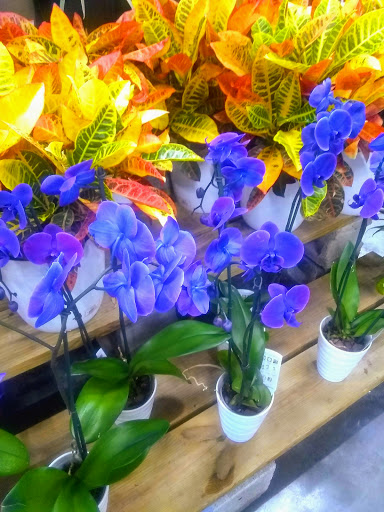 Shopping Mall «Beards Hill Plaza Shopping Center», reviews and photos, 949 Beards Hill Rd, Aberdeen, MD 21001, USA