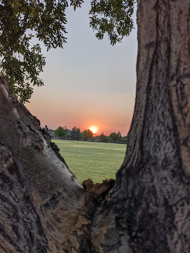 Park «Summerlin Centre Community Park», reviews and photos, 10588 Marketwalk Pl, Las Vegas, NV 89135, USA