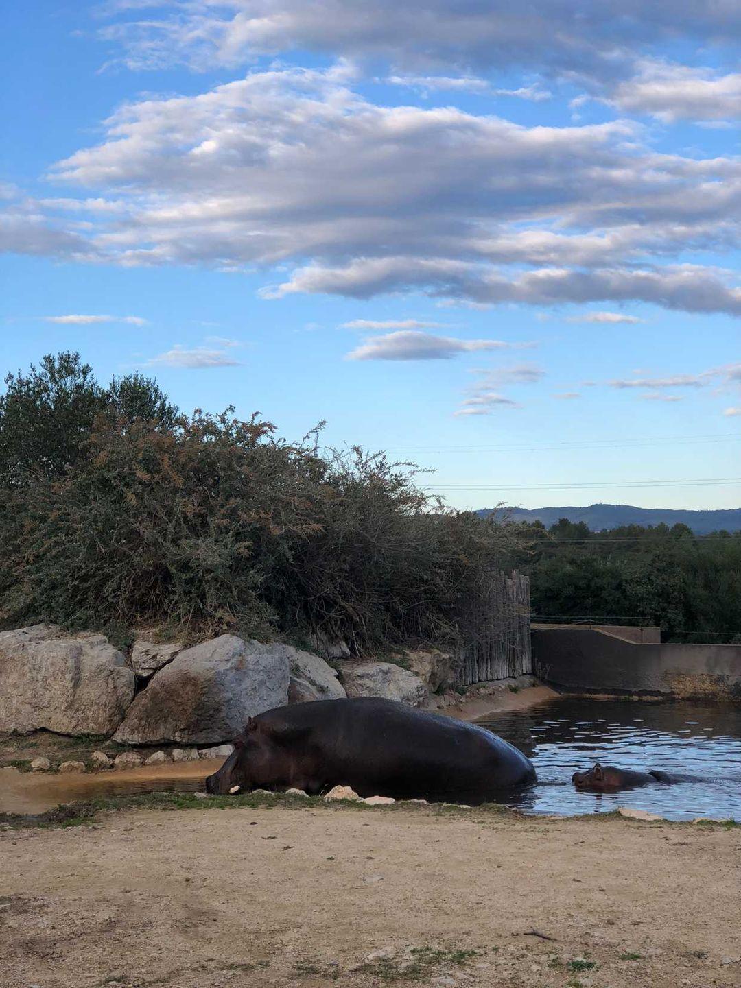 Photo n° 22 de l'avis de andre.a fait le 08/11/2021 à 14:35