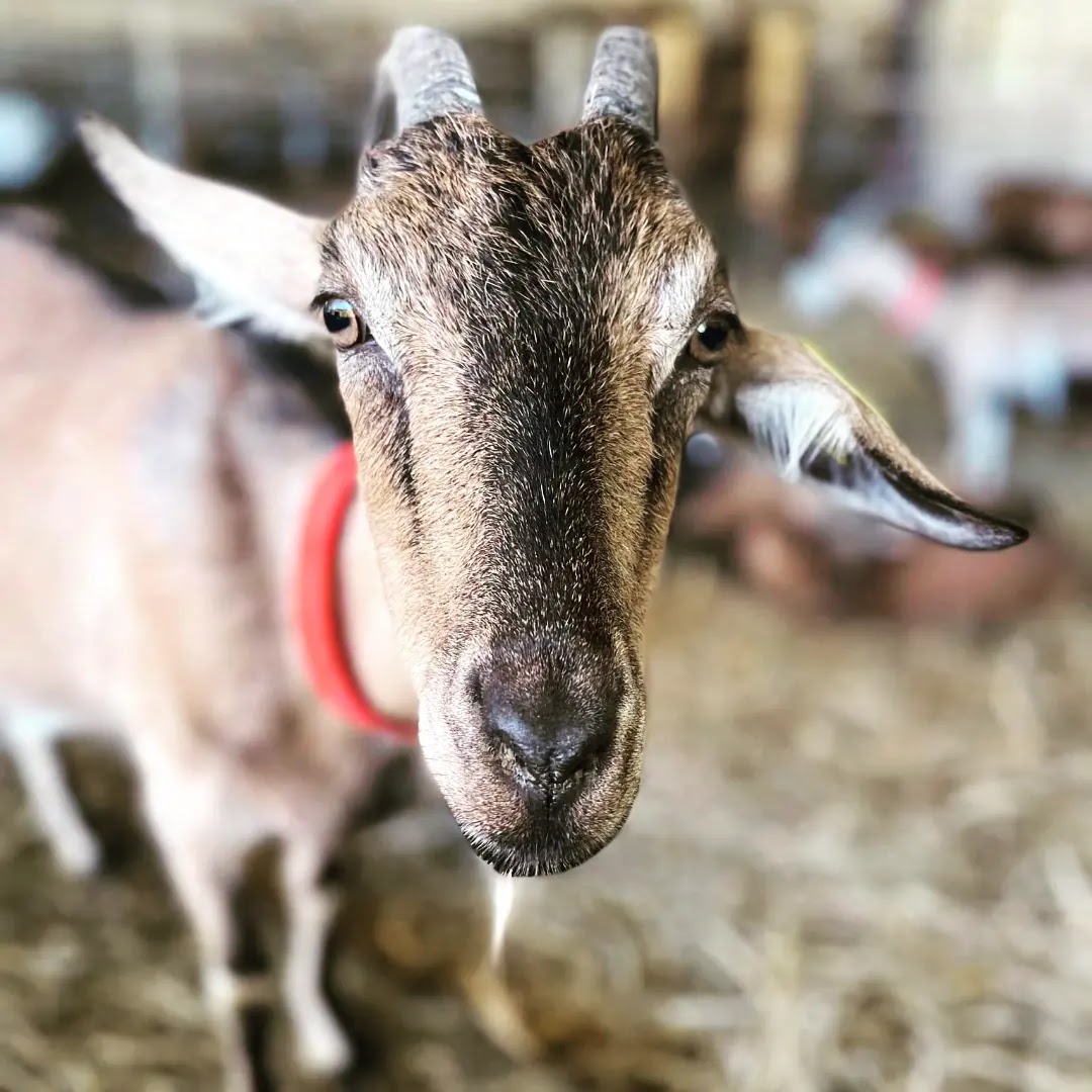 Photo n° 4 de l'avis de Aurélie.l fait le 20/03/2019 à 20:09