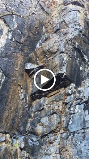 State Park «Alapocas Run State Park», reviews and photos, 1914 W Park Dr, Wilmington, DE 19803, USA