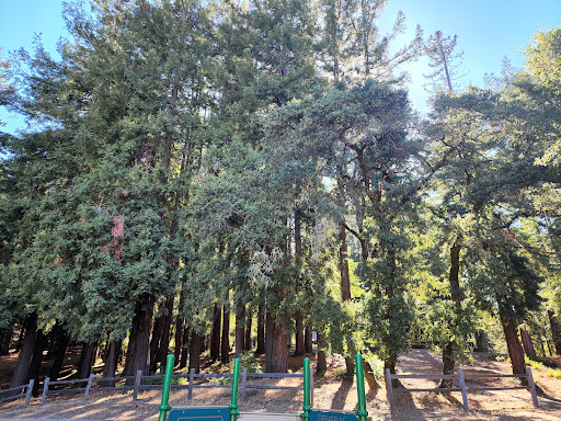 Park «Huddart Park», reviews and photos, 1100 Kings Mountain Rd, Woodside, CA 94062, USA