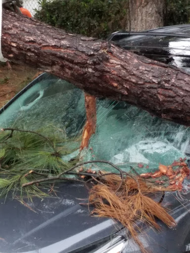 Auto Body Shop «Advanced Auto Body», reviews and photos, 16170 Jacqueline Ct, Morgan Hill, CA 95037, USA