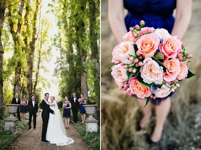 Photos of Judy Chirnside Flowers