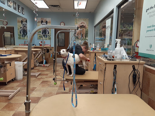 Pet Supply Store «PetSmart», reviews and photos, 263 Midway Blvd, Elyria, OH 44035, USA