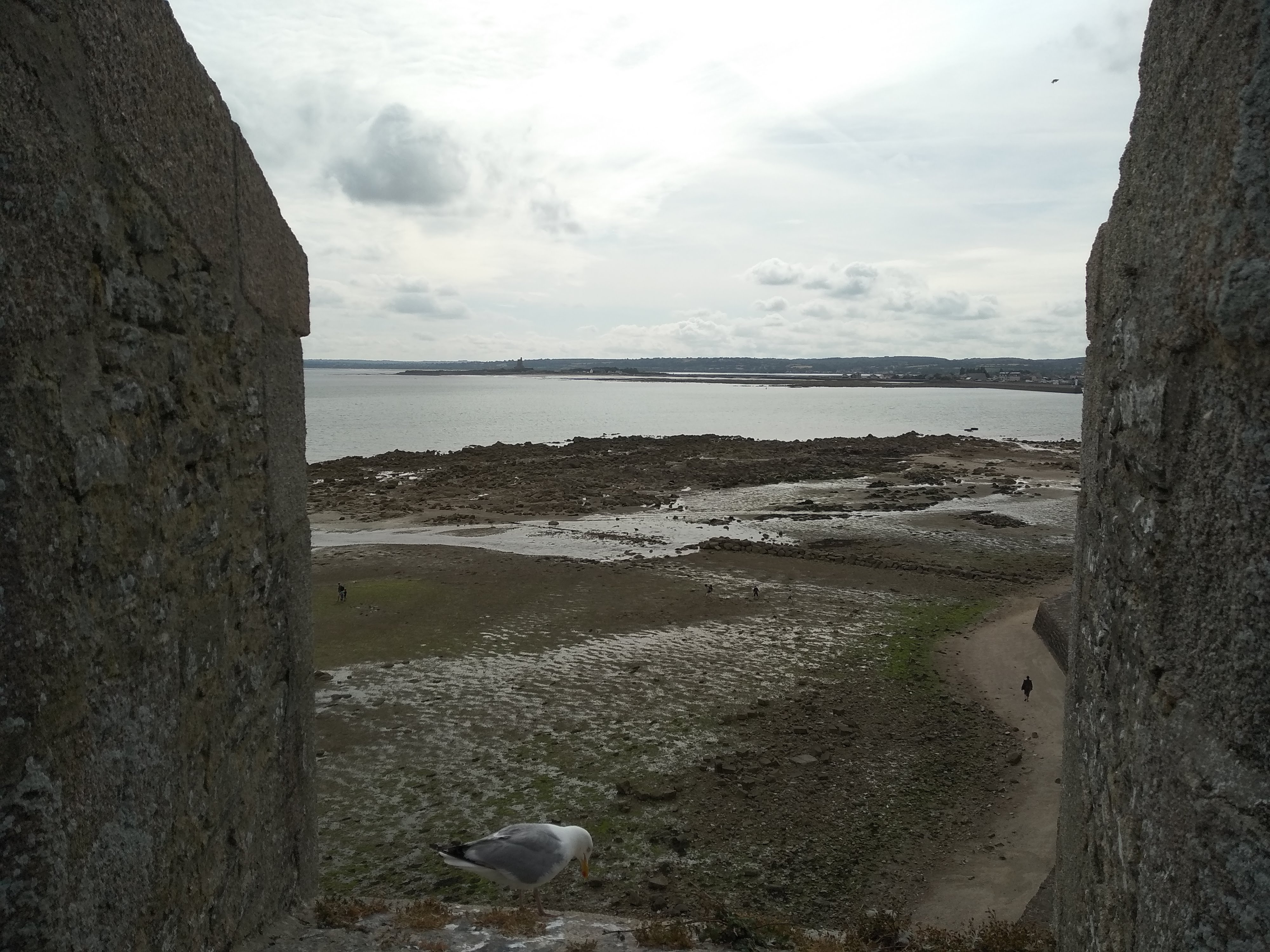 Photo n° 2 de l'avis de Julien.O fait le 24/07/2019 à 14:41