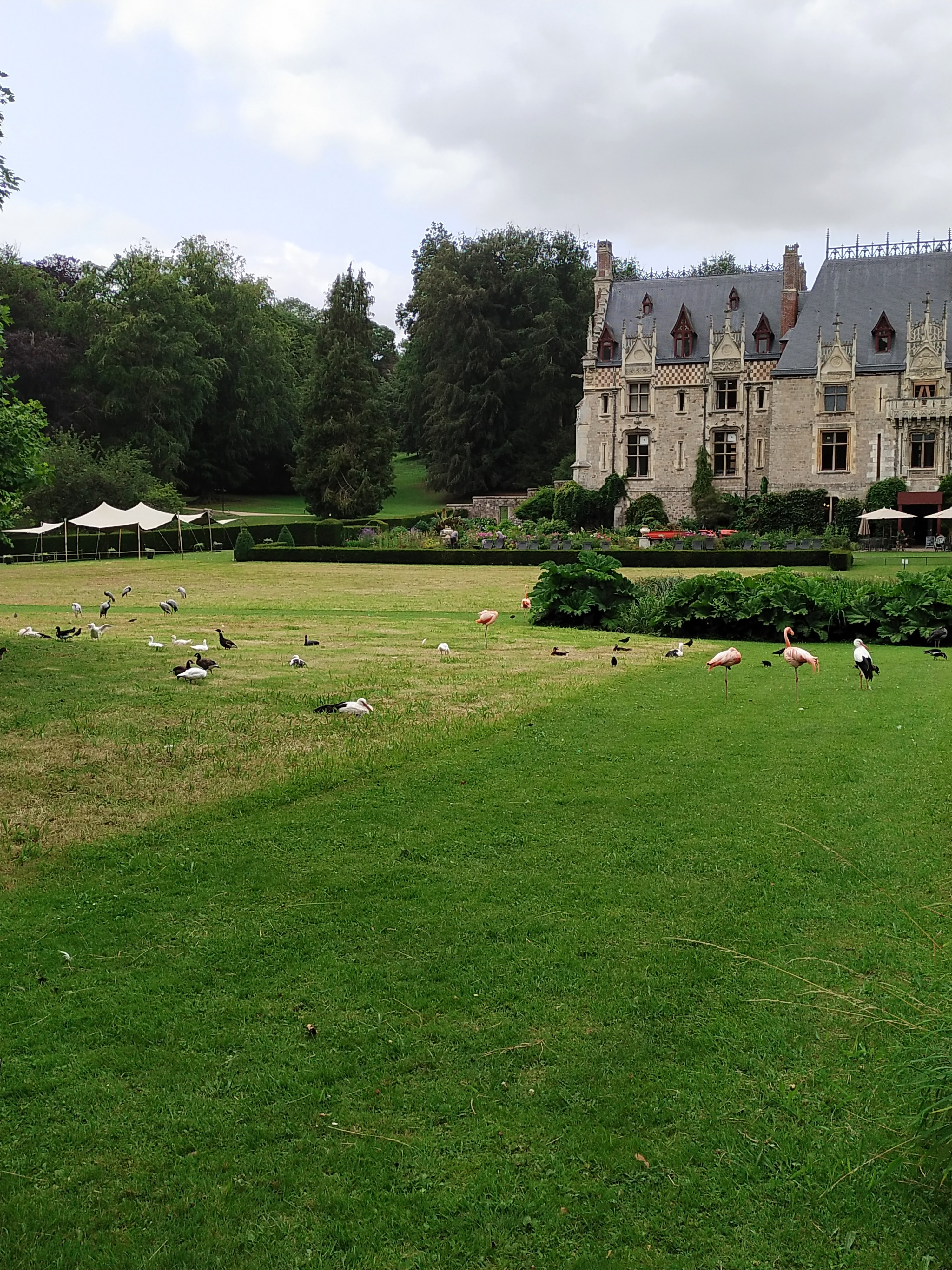 Photo n° 1 de l'avis de Amandine.a fait le 03/07/2023 à 22:00