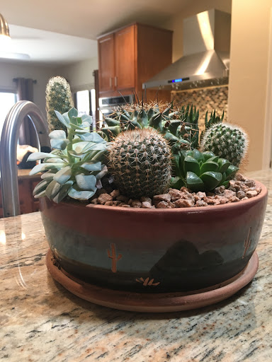 Florist «Casas Adobes Flower Shop», reviews and photos, 7090 N Oracle Rd #194, Tucson, AZ 85704, USA