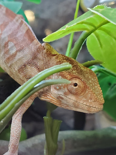 Pet Supply Store «Petco Animal Supplies», reviews and photos, 48 Watertower Plaza, Leominster, MA 01453, USA