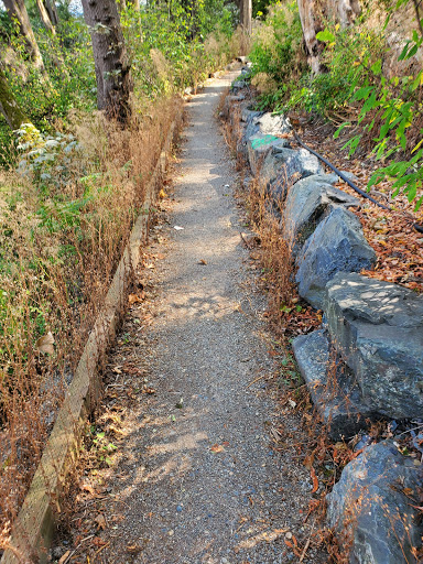 Park «Lewis Park», reviews and photos, 1120 15th Ave S, Seattle, WA 98144, USA