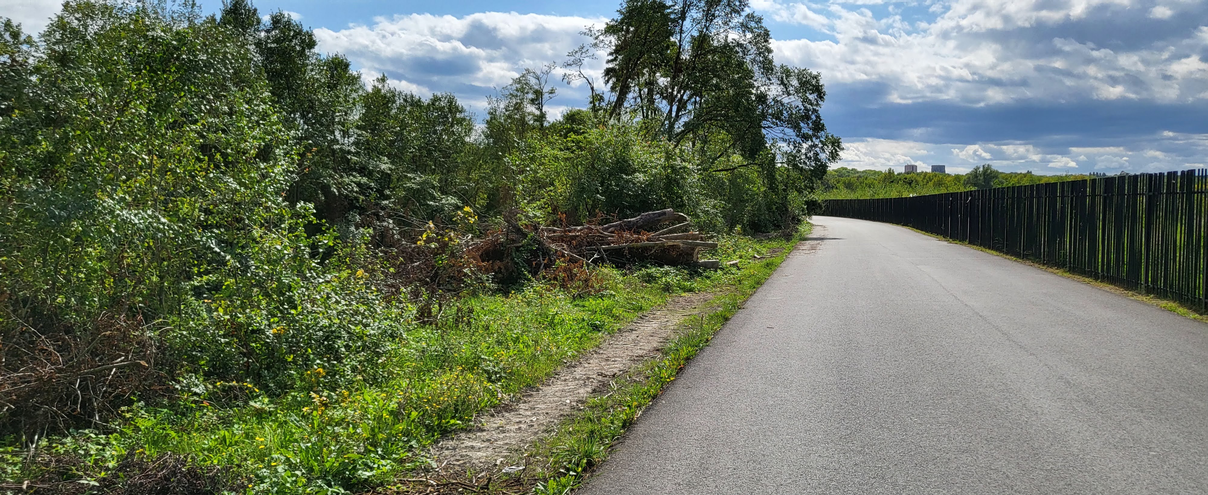 Photo n° 15 de l'avis de R. fait le 28/08/2023 à 09:54