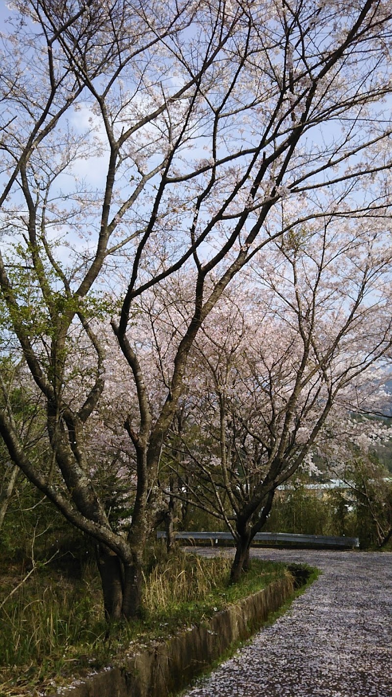 桜が丘市営住宅