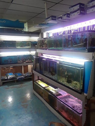 Pet Store «Southside Pet Shop», reviews and photos, 7031 Southside Dr, Louisville, KY 40214, USA