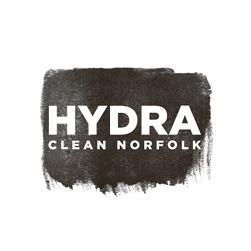 Reviews of Clean Norfolk Ltd in Norwich - House cleaning service