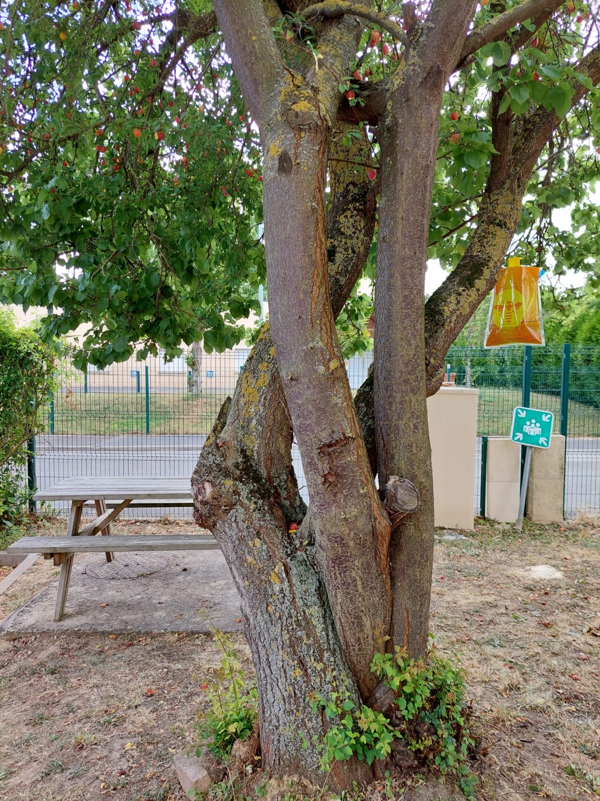 Photo n° 1 de l'avis de Vince.O fait le 08/08/2023 à 17:27