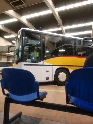 Avaliações doRede Expressos em Faro - Serviço de transporte