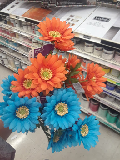 Craft Store «Michaels», reviews and photos, 4126 E McCain Blvd, North Little Rock, AR 72117, USA