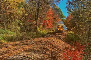 New York & Lake Erie Rail Road image