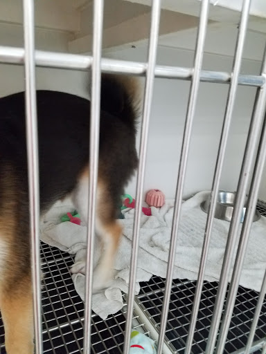 Pet Store «Petland», reviews and photos, 5470 Dixie Hwy, Fairfield, OH 45014, USA