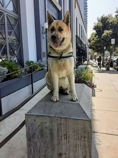 Rachel’s Women’s Center