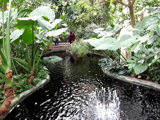 Zoo «Como Park Zoo & Conservatory», reviews and photos, 1225 Estabrook Dr, St Paul, MN 55103, USA