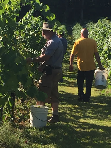 Winery «Halbrendt Vineyard & Winery», reviews and photos, 1150 Evergreen Way, Orrtanna, PA 17353, USA