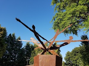 McIntire Family Park - photo 19