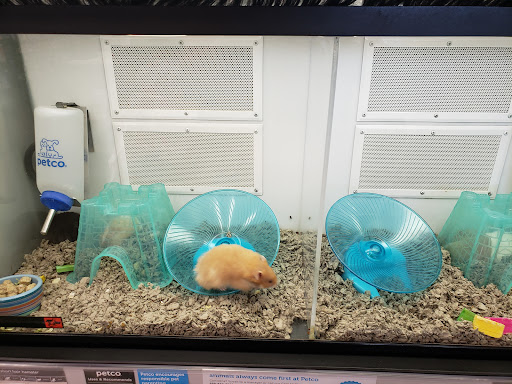 Pet Supply Store «Petco Animal Supplies», reviews and photos, 210 Nut Tree Pkwy, Vacaville, CA 95687, USA