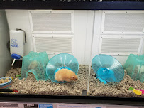 Petco - Photo 8 - Car repair in Vacaville, CA, Vacaville