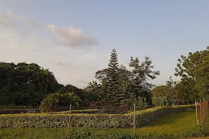 Lautech Botanical Garden image