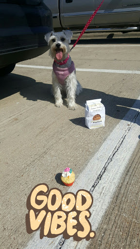 Pet Store «The Canine Cookie Company», reviews and photos, 207 E Louisiana St, McKinney, TX 75069, USA