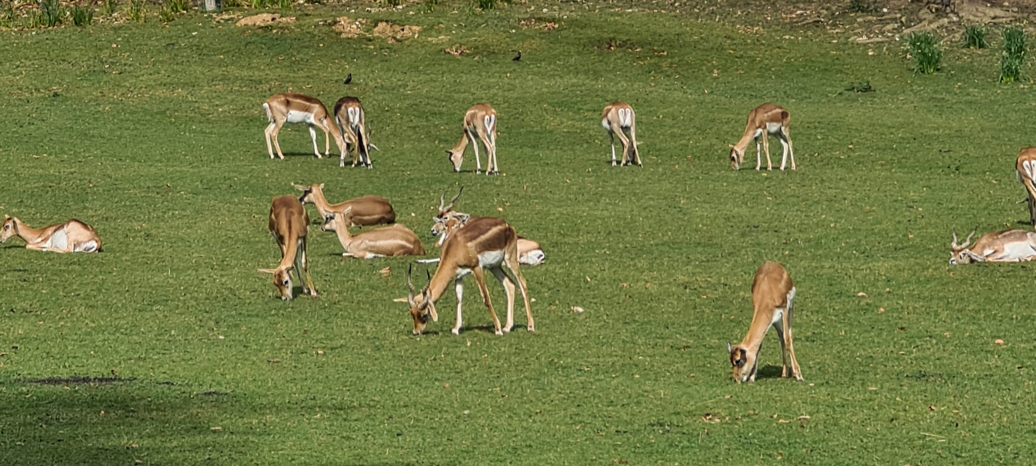 Photo n° 9 de l'avis de René.E fait le 14/04/2022 à 20:28
