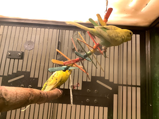 Pet Supply Store «PetSmart», reviews and photos, 1038 Crossings Blvd, Spring Hill, TN 37174, USA