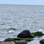 Photo n°11 de l'avis de Irina.i fait le 31/07/2021 à 15:39 sur le  Landhotel Rügen à Samtens