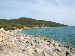 Dangir Bay'in fotoğrafı çok temiz temizlik seviyesi ile