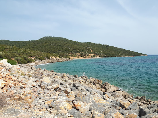 Dangir Bay