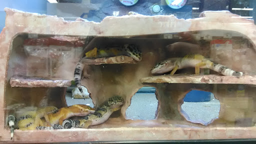 Pet Supply Store «Petco Animal Supplies», reviews and photos, 3055 N President George Bush Hwy, Garland, TX 75040, USA