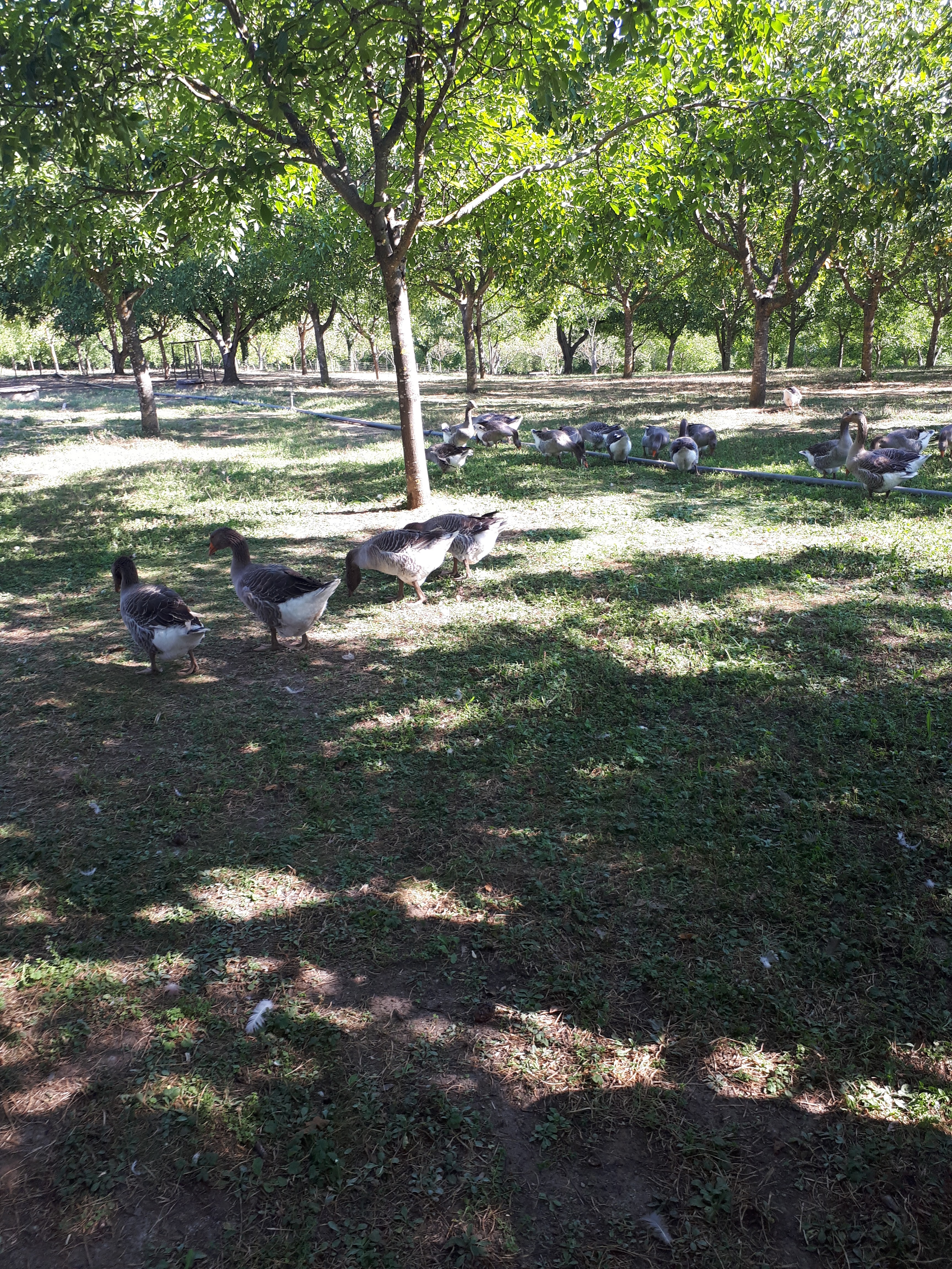 Photo n° 1 de l'avis de Quentin.e fait le 22/08/2018 à 11:36