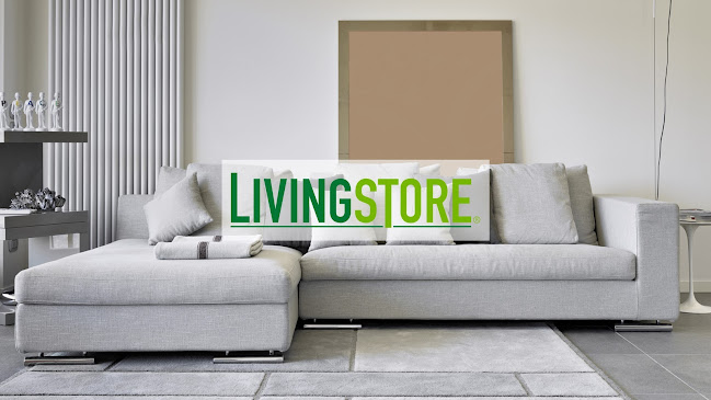 Opiniones de LIVINGSTORE Tienda de sofás y decoración en Quinta Normal - Tienda de muebles
