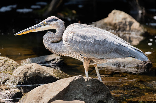 Park «Wehr Nature Center», reviews and photos, 9701 W College Ave, Franklin, WI 53132, USA