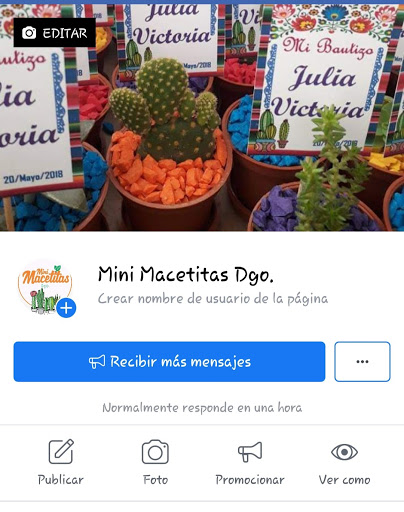 Mini Macetitas Dgo