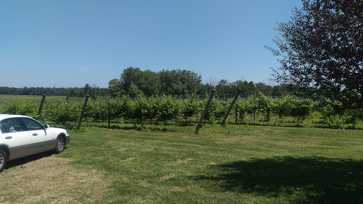 Vineyard «3 North Vines», reviews and photos, 5940 Peck Rd, Croswell, MI 48422, USA