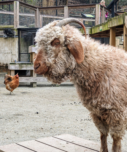 Zoo «Brandywine Zoo», reviews and photos, 1001 N Park Dr, Wilmington, DE 19802, USA