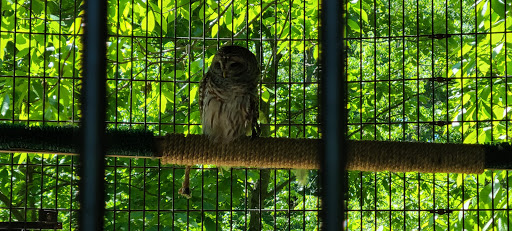 Nature Preserve «Crabtree Nature Center», reviews and photos, 3 Stover Rd, Barrington, IL 60010, USA